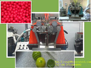 Máquina farmacêutica da cápsula de Softgel da gelatina, máquina de embalagem 43470 da medicina/hora
