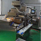 Servo motor automático Máquina de produção de cápsulas Softgel em grande escala